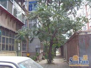 石家庄高柱小区最新爆料,揭秘神秘事件背后的真相  第3张